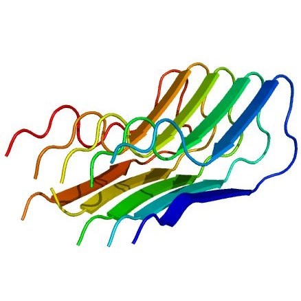 蛋白蛋白分子对接DS分析MD分子动力学分析PDB构建 - 实物图