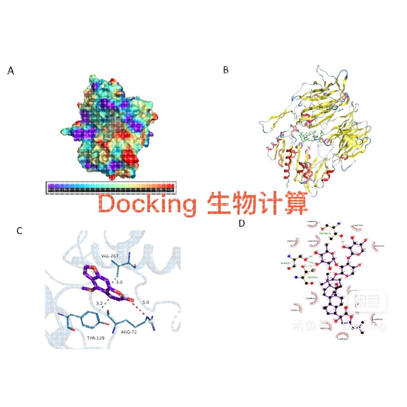 表面等离子共振SPR  MST ITC BLI亲和力实验，分子动力学分子对接
