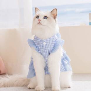 猫咪衣服春夏季公主风连衣裙成猫幼猫裙子薄款狗狗衣服宠物服饰