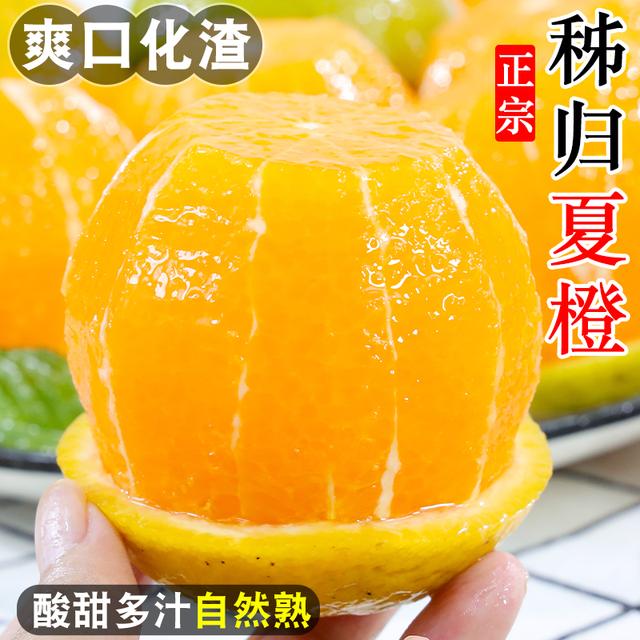 爽口多汁正宗秭归新鲜夏橙应季水果现摘现发酸甜多汁皮薄包邮
