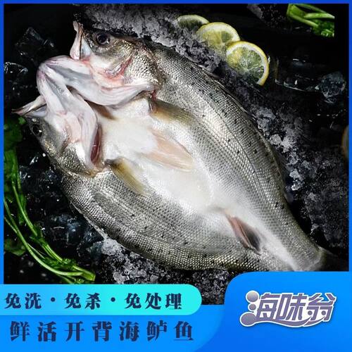 海味翁 26年新鱼 盐渍海鲈鱼 肉质鲜美 腌制冷冻400g/条*6条