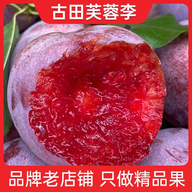 顺丰京东古田芙蓉李红心李李子新鲜水果酸甜4.6斤L