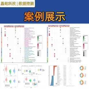 生信分析实验外包测序分析火山图绘制MR分析数据库挖掘科研