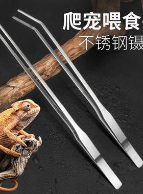 不锈钢乌龟喂食镊子爬宠超长直弯头镊子蝎子蜘蛛夹粪便鱼缸水草夹