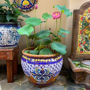 特色陶瓷马赛克水培四季 荷花盆百合花盆铜钱草盆绿萝盆带花粉掌盆