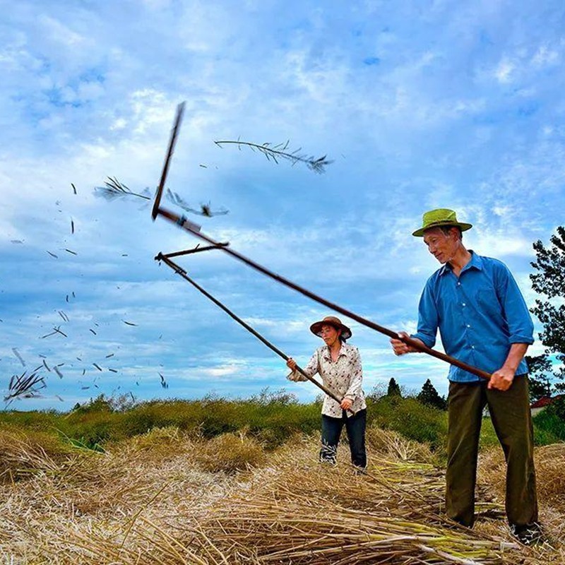 打菜籽连盖打谷子打油菜专用连架打麦子梿枷农具大全