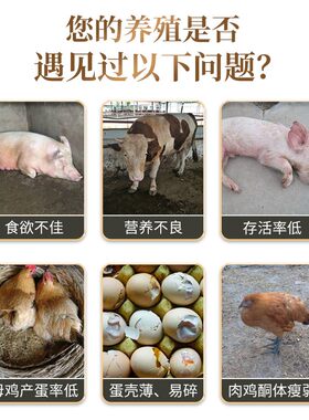 华畜小苏打粉兽用食用碳酸氢钠猪鸡牛羊用养殖用饲料添加剂10斤