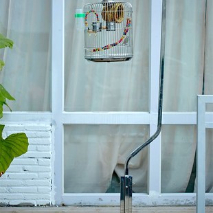 鸟笼挂架落地户外观赏不锈钢鸟笼子大号八哥专用玄凤牡丹鹦鹉笼子