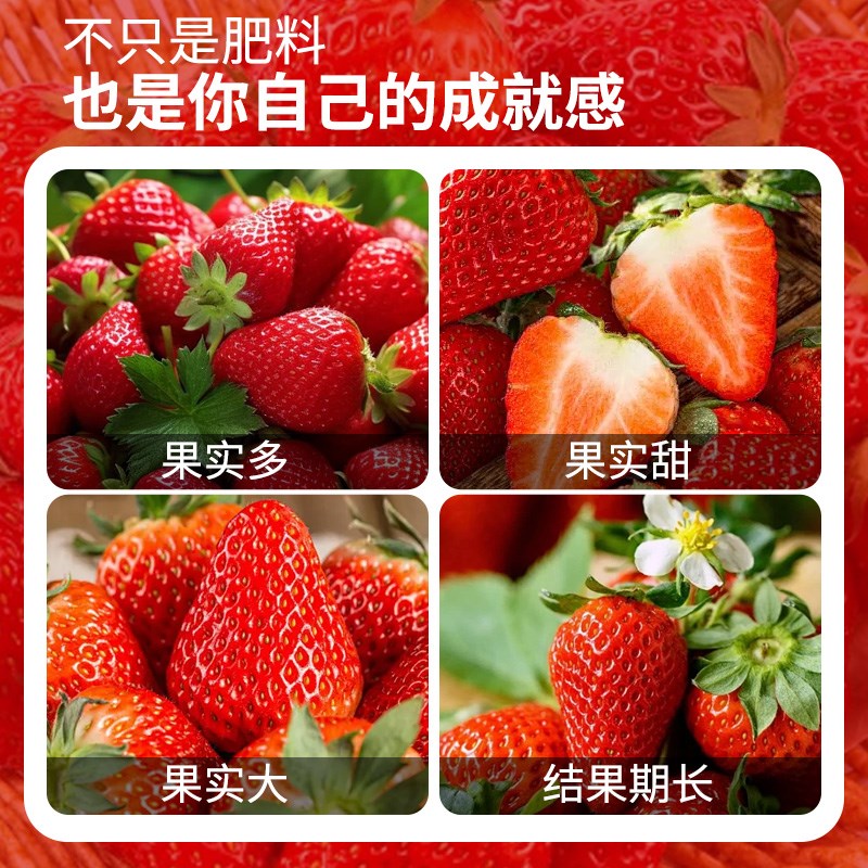 草莓营养液草莓肥料专用肥浓缩家用盆栽植物液体肥草莓肥生长坐果