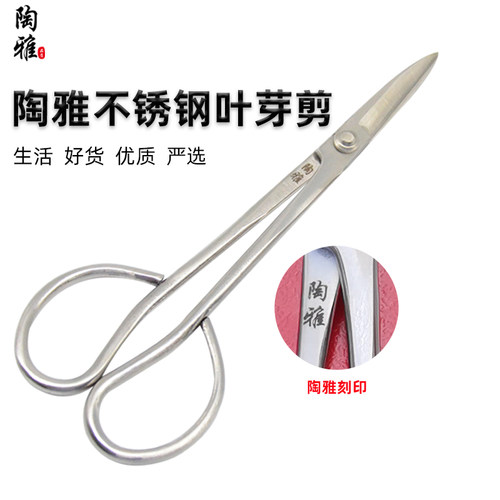 陶雅剪刀修枝剪盆景修剪造型盆栽不锈钢叶芽剪树枝家居园艺工具