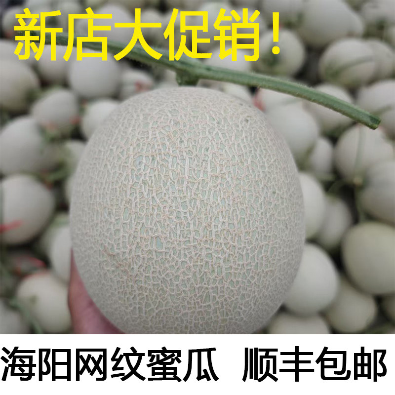海阳网纹蜜瓜新鲜水果当季冰淇淋哈密瓜玫珑海南蜜瓜甜瓜顺丰包邮