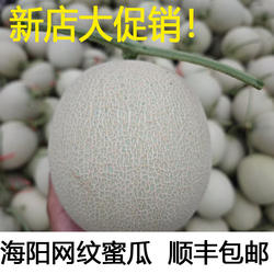 海阳网纹蜜瓜新鲜水果当季冰淇淋哈密瓜玫珑海南蜜瓜甜瓜顺丰包邮