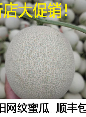 海阳网纹蜜瓜新鲜水果当季冰淇淋哈密瓜玫珑海南蜜瓜甜瓜顺丰包邮