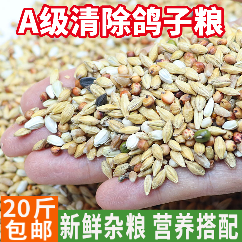 20斤装清除鸽粮鸽子食饲料信鸽换毛期专用幼鸽鸽粮鸟类鸟食