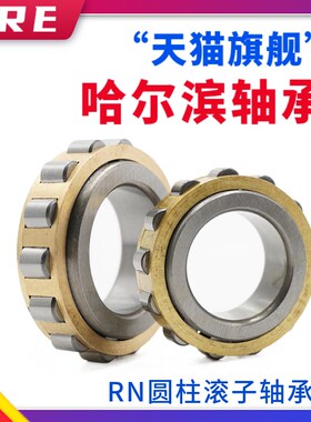 减速机轴承RN203 204 205 206 207 208 209 210 212 213 214 215M