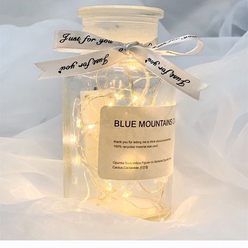 彩色小灯串装饰灯闪光灯节日礼品盒礼物鲜花纽扣电池铜线灯