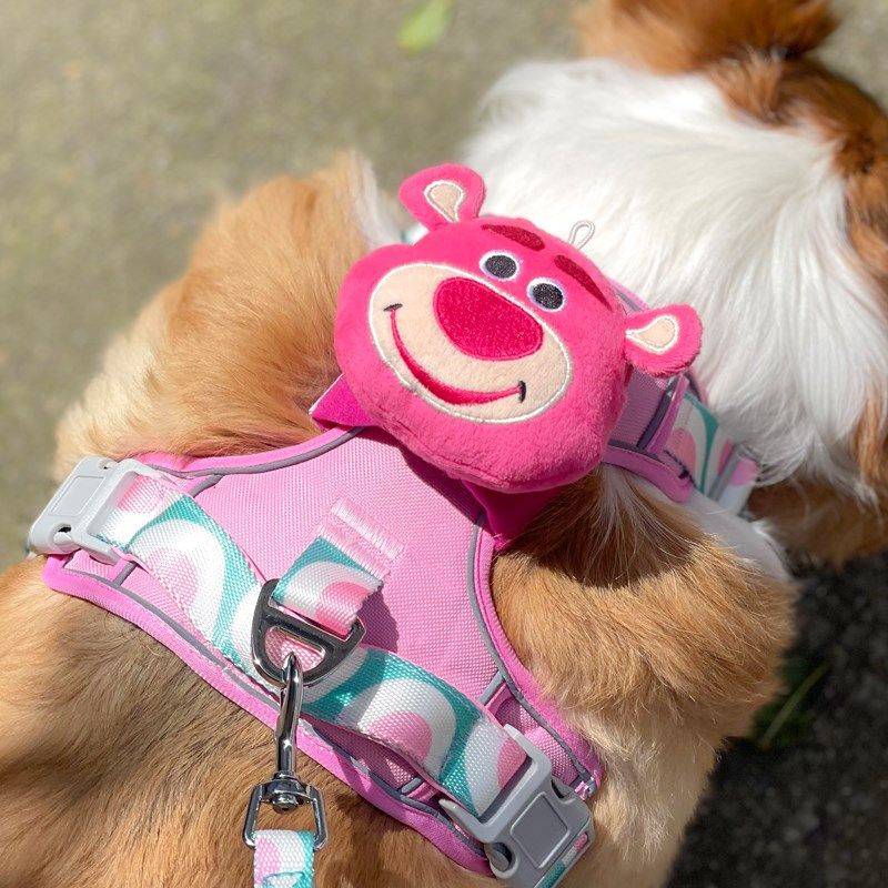 宠物遛狗绳金毛泰迪柯基背心式背带猫牵引绳防挣脱放爆冲胸背用品,宠物/宠物食品及用品,狗牵引绳,淘宝优惠券,粉丝福利购,淘宝优惠卷