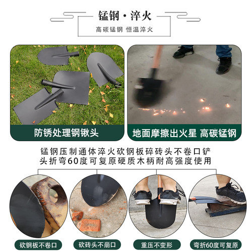 锰钢淬火园林钢锹农家用铁锹铲子圆平尖头煤锹防汛工程建筑锨种菜