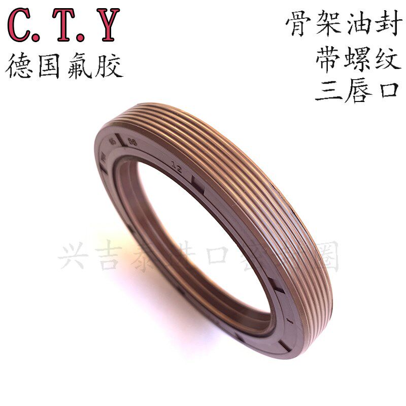 进口耐高温骨架油封德国CTY氟胶油封73/75*90/95/97/100*10/12/13