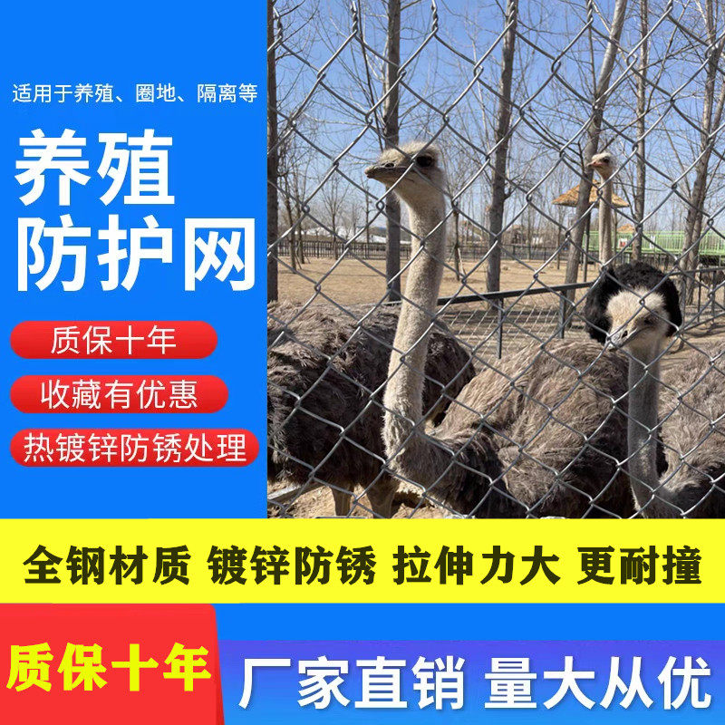 镀锌铁丝网养殖牛羊网勾花编织防护安全网家用养鸡护栏隔离钢丝网