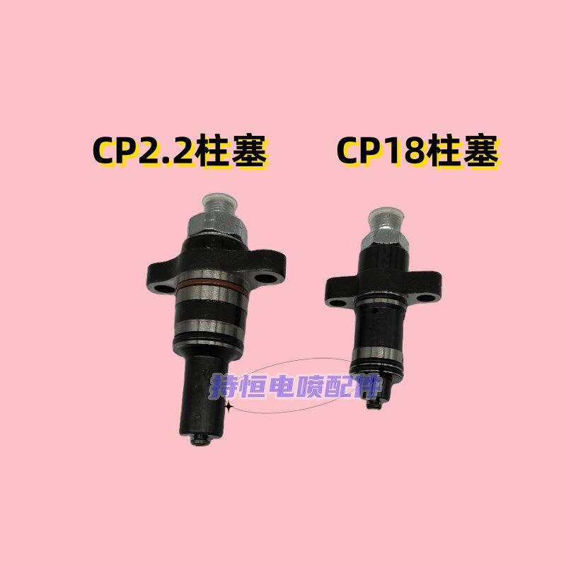 CP2.2柱塞总成CP18柱塞总成cp2.2柱塞cp18柱塞校油泵配件电喷配件