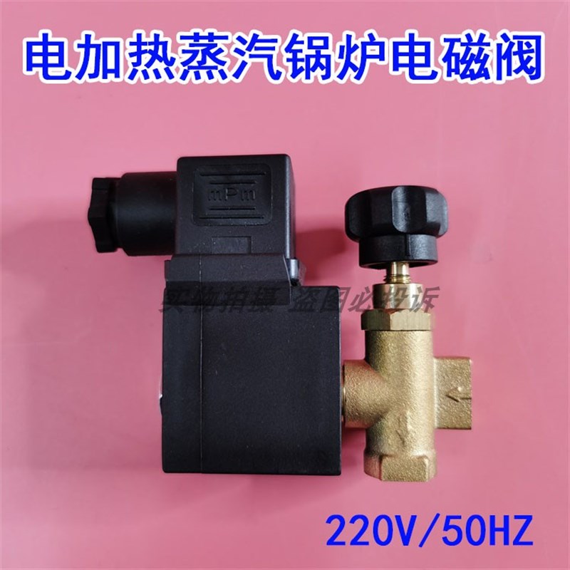 通用220V50HZ电加热蒸汽锅炉熨斗电磁阀组件节能蒸汽发生器电磁铁