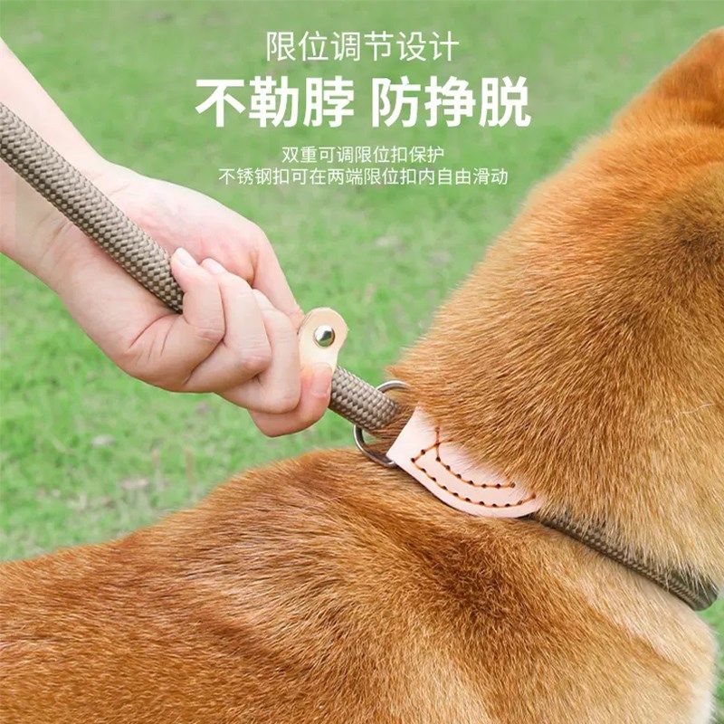 金毛专用狗狗绳子防爆冲P链遛狗牵引绳防挣脱狗链子中大型犬