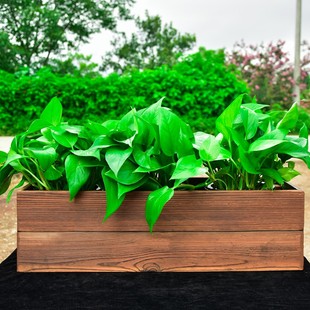 防腐实木花盆特大号长方形碳化花箱室内外多肉绿萝养花种菜专用盆