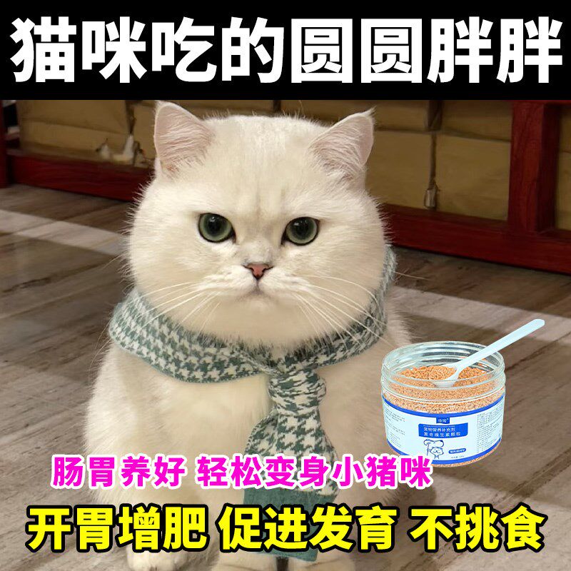 猫咪增肥发腮营养品防掉毛营养补充剂快速长肉补充营养猫粮维生素