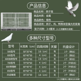 鸽笼子家用养殖繁殖配对鸽子笼大号金属鸟笼肉鸽赛鸽白羽笼大鸡鸭