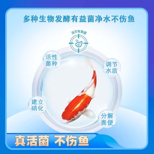 倍羽斯水族6号 鱼缸硝化水质发黄长藻发绿发白去浑浊净化水剂