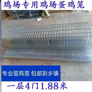 家用蛋鸡笼阳台养鸡笼自动出蛋鸡笼小号养殖家用蛋托收蛋折叠鸡笼