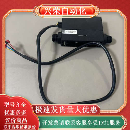 MF4008-20-R-BV-A微小数显气体质量计、