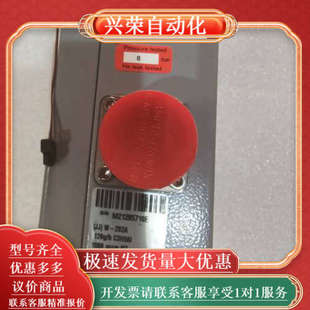 BRONKHORST 788 202A 计