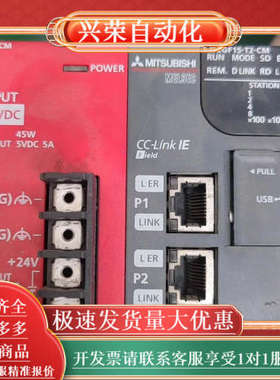 正品L系列电源模块L6EC-CM L63P-CM 议价