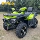 Bashan WHS Tiger Shark 300 ATV внедорожный альпинистский велосипед вездеход-внедорожник фермерский автомобиль полноприводный мотоцикл mini 0