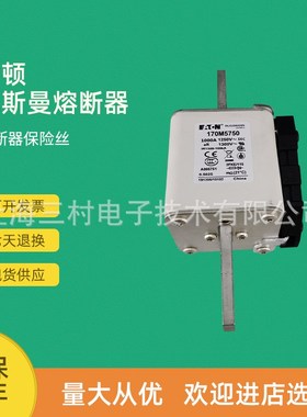 全新原装快速熔断器保险丝170M5847 170M5874 170M5875 170M5876