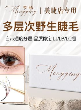 3D野生感漫画款睫毛多层次山茶花LBLC5D立体蓬松仿真凌乱嫁接睫毛