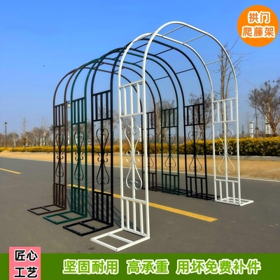 新款加厚铁艺户外花园蔷薇月季架