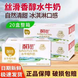 百菲酪水牛纯牛奶广西水牛奶200ml学生儿童孕妇营养早餐整箱牛奶
