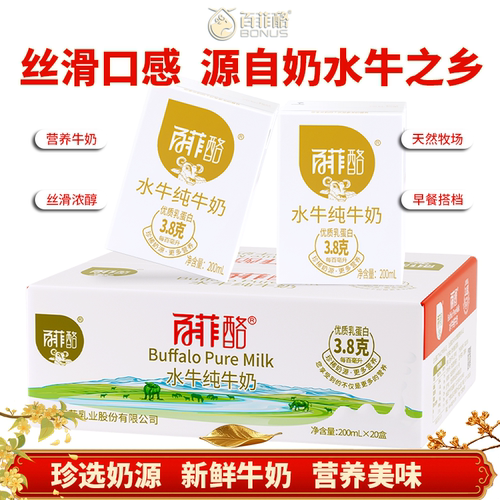 广西百菲酪纯水牛奶味香醇口感好