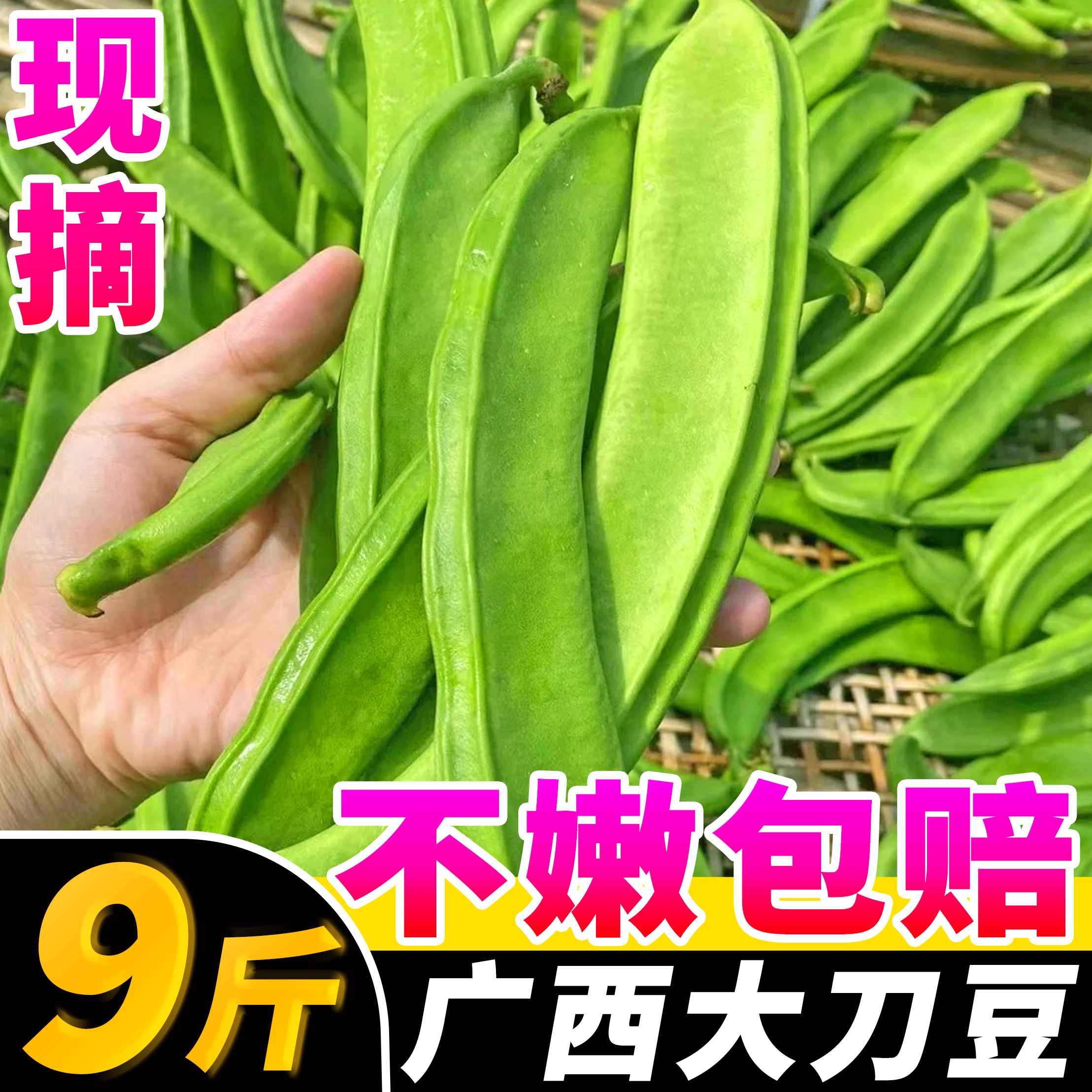 【超嫩刀豆好评榜】官方推荐