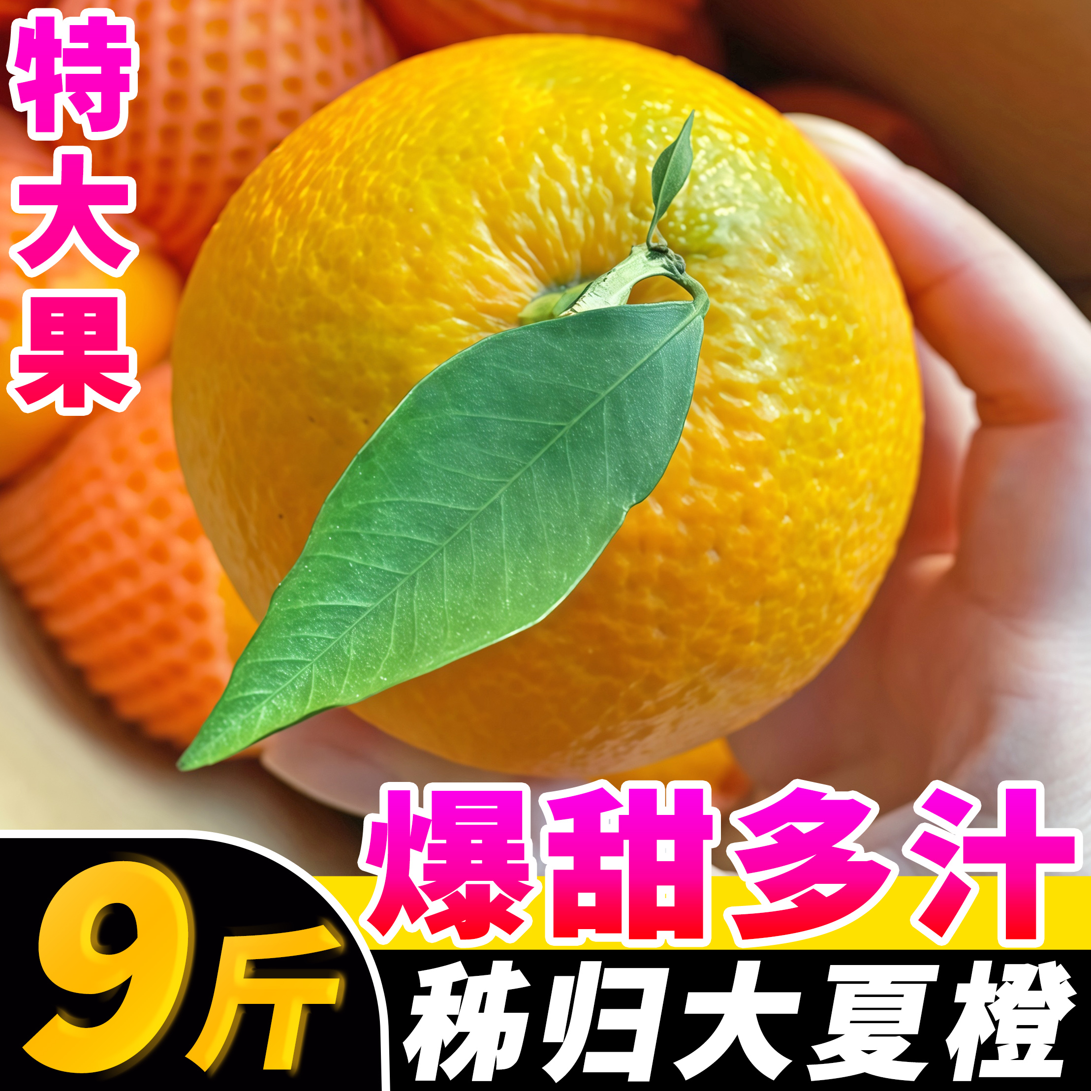 秭归夏橙新鲜水果9斤榨汁专用新鲜现摘当季时令手剥橙子整箱批发