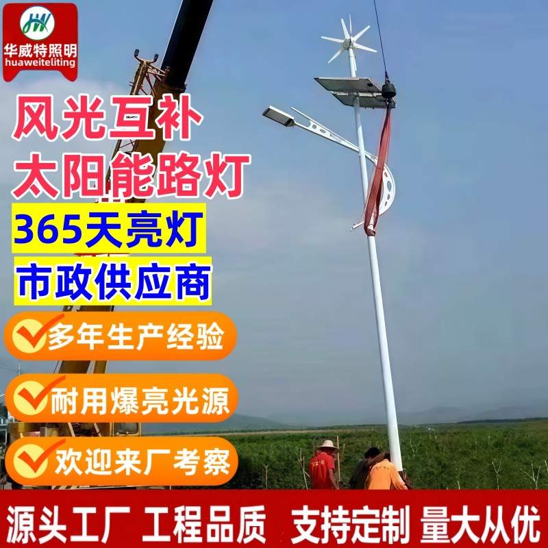 风光互补太阳能路灯户外庭院照明灯6米8米新农村市政工程LED路灯