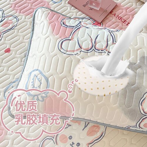乳胶枕头套冰丝枕头套装一对枕套一对装2025新款单个48cmx74cm