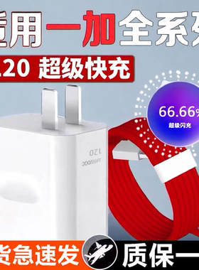 120超级闪充头适用一加10Pro充电器ace6/7/8t/9手机一加Ace2/3V充电头一加ace5/Pro/Ace2手机3Pro数据线插头