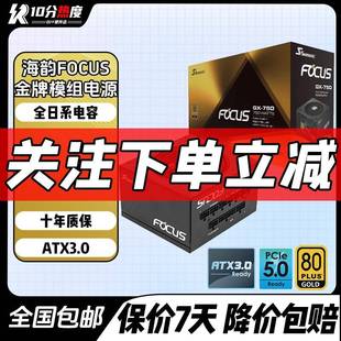 海韵FOCUS GX650 GX750 GX850 GX1000W ATX3.0峰睿金牌全模组电源