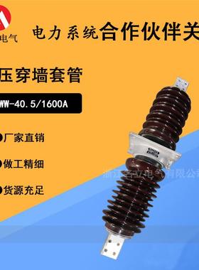 35KV高压穿墙套管CWW-40.5/1250-4000ACWB10-24陶瓷绝缘防污瓷瓶