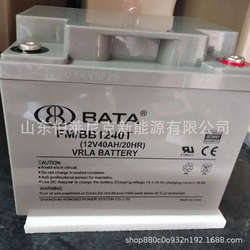 鸿贝FM/BB12100T 12V100AH 铅酸免维护蓄电池路灯太阳能光伏发电图片