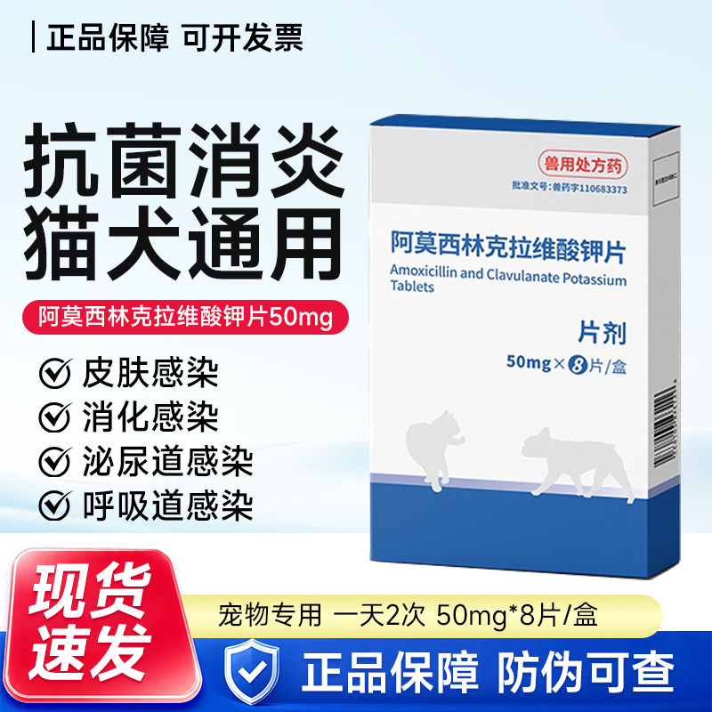 宠物猫狗阿莫西林片速诺消炎药